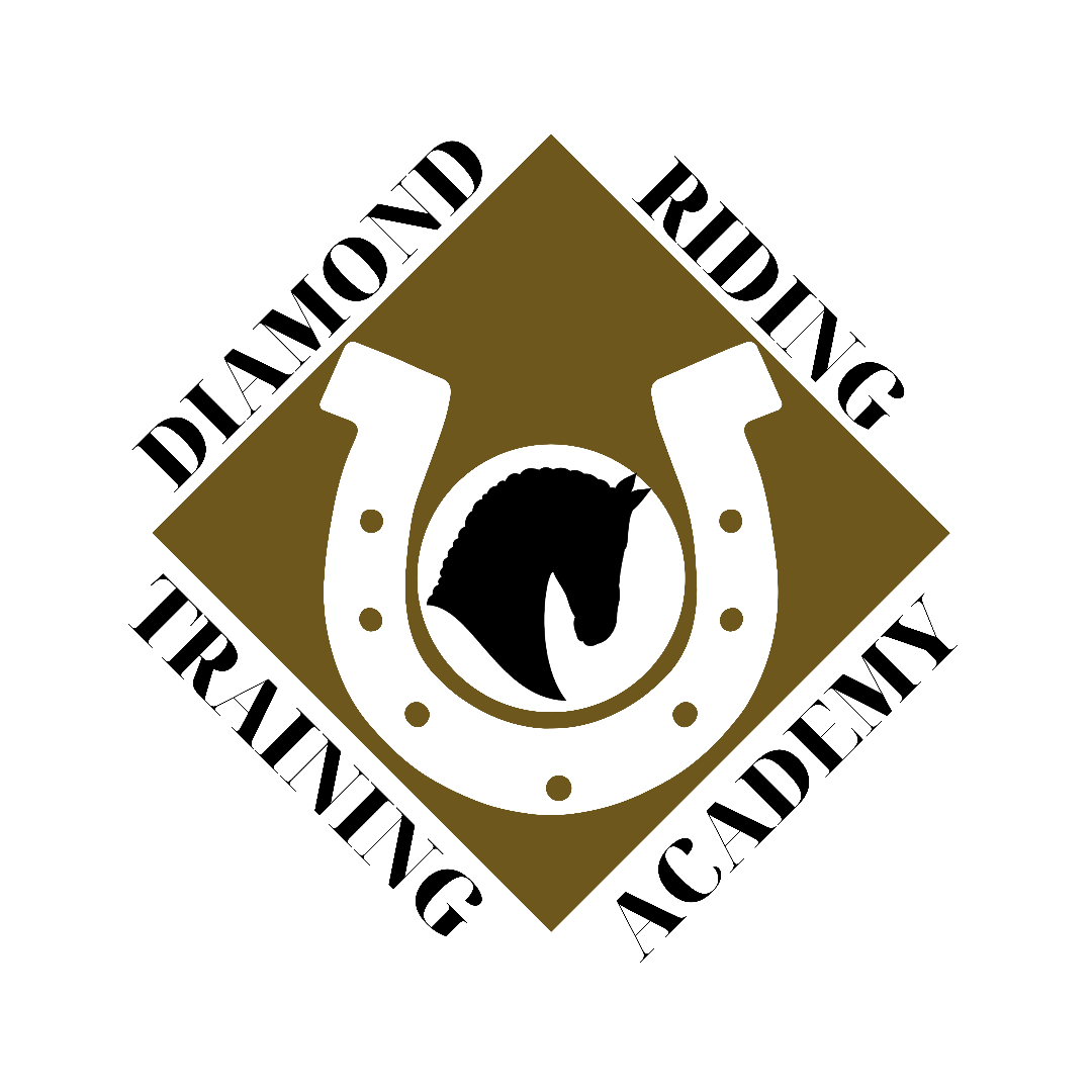 Logo for riding warehouse, outline of horse head with "Sneak Away Riding Club".